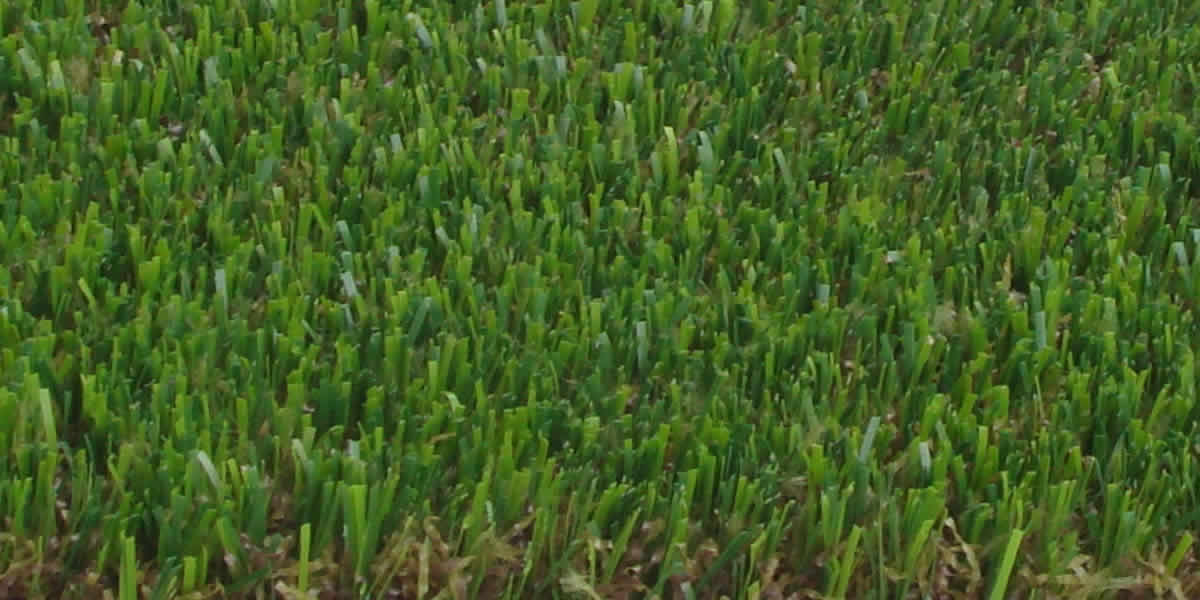 Prato sintetico professionale per utilizzi pesanti  Erba sintetica Amazzonia - Altissima densità dei punti per iun calpestio senza problemi.