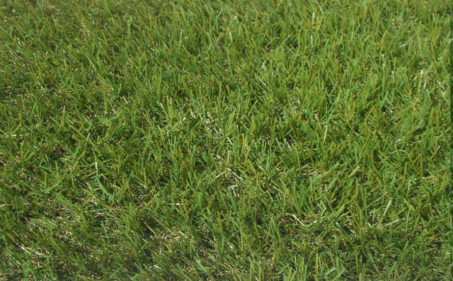 Prato sintetico 30 mm  professionale  Prato sintetico Eden 30 2019 30 mm