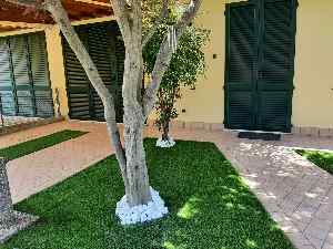 Un piccolo giardino con posa fa da te a Mezzano (RA) con il prato Eden 30 2022</br>
Prato sintetico Eden 30 2022 IMG-20220520-WA0003