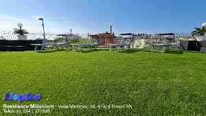 Terrazza in residence a Rimini Eden 30 2022
Erba finta Eden 30 2022 prato-sintetico-eden-30-millenium016
