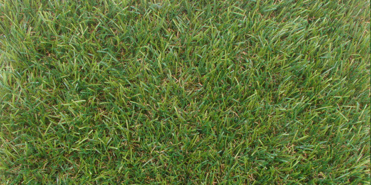 Tappeto pretagliato 2x5 in erba sintetica alta 5 cm  Tappeto Nature 50 XL - m 2x5 realizzato con prato sintetico - erba sintetica da 50 mm di altezza nelle dimensioni di cm 200x500