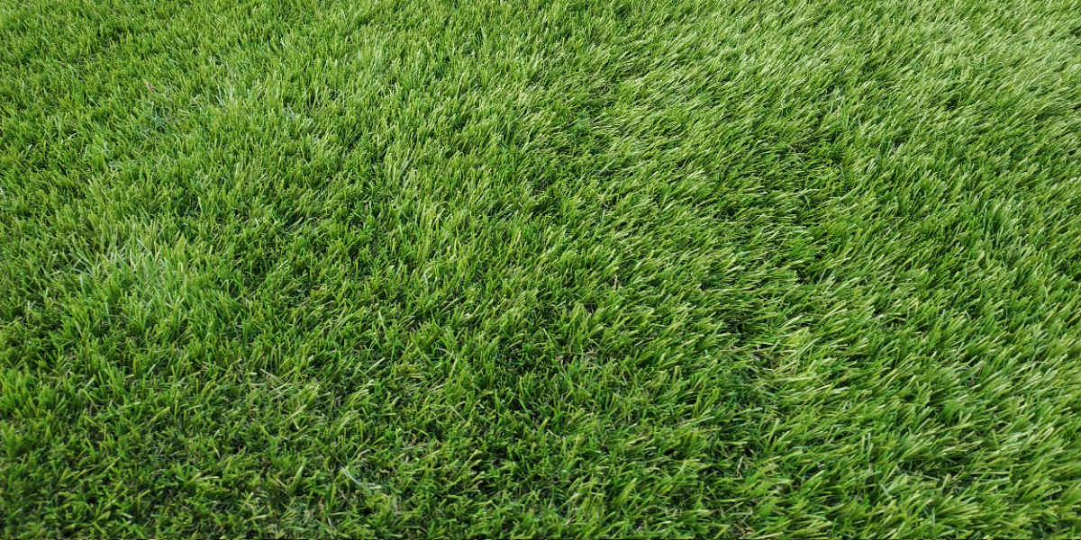 Prato artificiale   Princess 45 mm erba sintetica alta 45 mm per giardinaggio e tappeti di sicuro lusso.