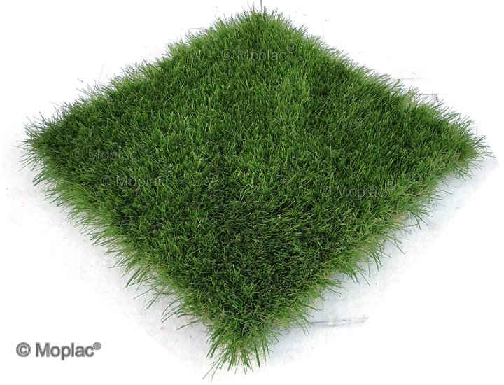 Princess 45 mm Il top di gamma 2020)