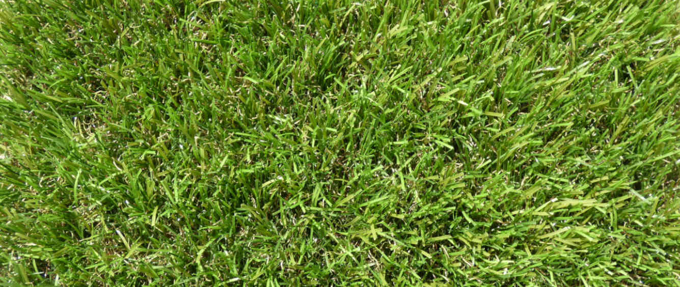 Erba sinteticai Occasione/ingrosso/offerte/lotti/produzioni  Promozioni ed offerte erba sintetica e moquettes resistenti all'acqua.